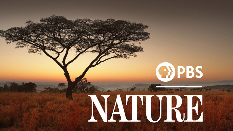 Nature still 7