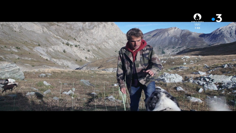 A Shepherd still 2