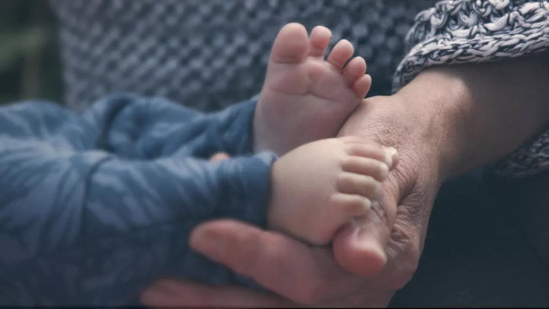 Bébés placés, la vie devant eux still 6