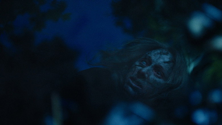 Wilderness still 1