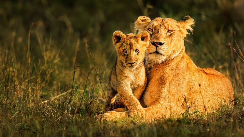 Botswana still 1