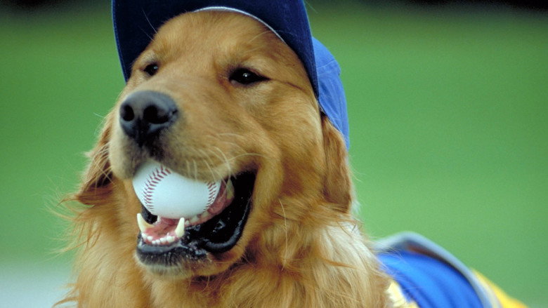 Air Bud: Seventh Inning Fetch still 5