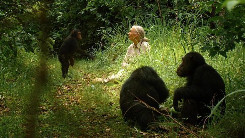 Jane's Journey still 1