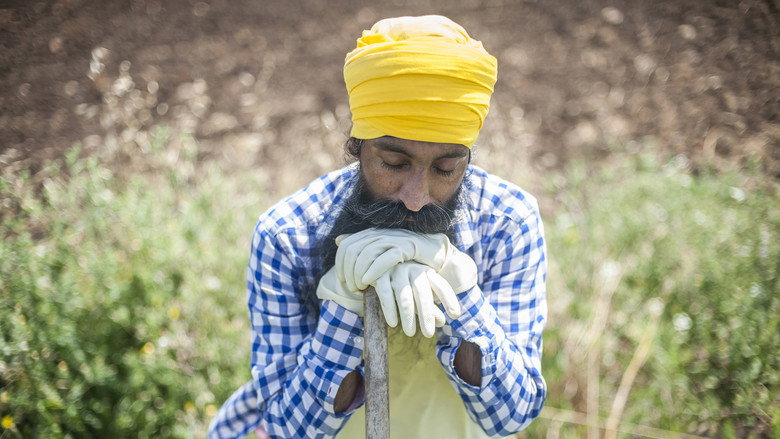 The Harvest still 2