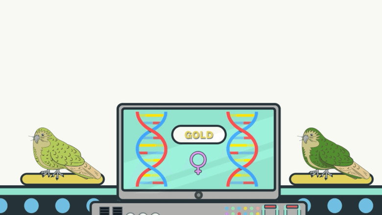 What if...? Genomics in Aotearoa still 2