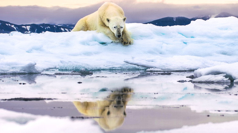 Frozen Planet II still 5
