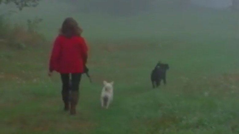 A Video Visit with Lynne Cherry still 1