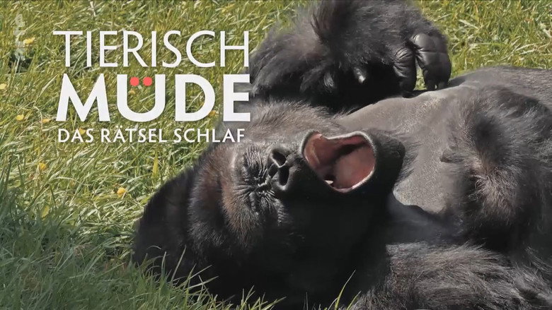 Tierisch müde - Das Rätsel Schlaf still 1