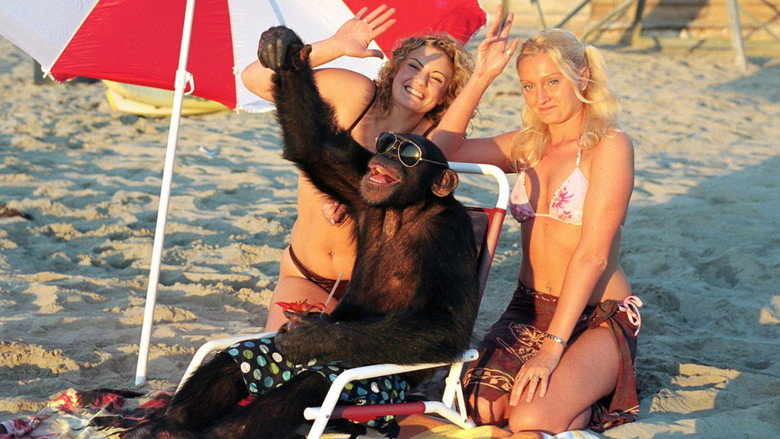 Funky Monkey still 5