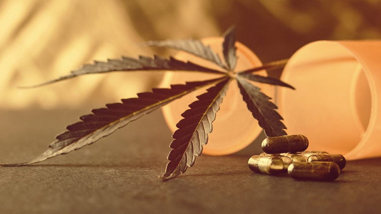 Cannabis: Prescription Pot Luck? still 1
