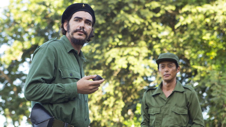 Ernesto still 2