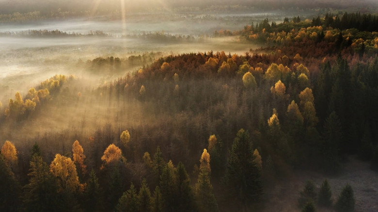 Wild Romania still 1