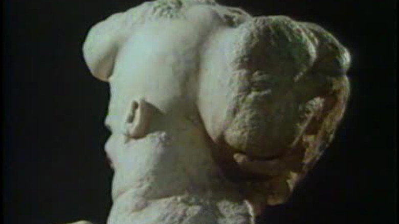 The Skin Horse still 1