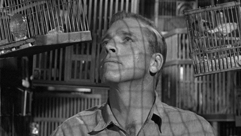 Birdman of Alcatraz still 8