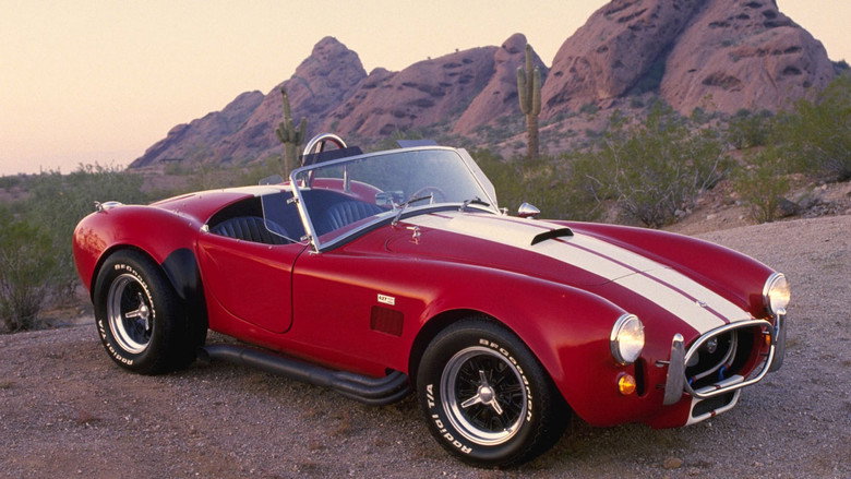 Cobra still 3