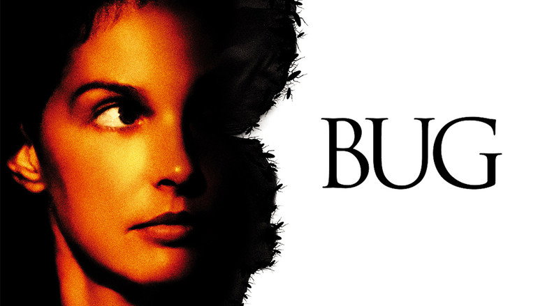 Bug still 7