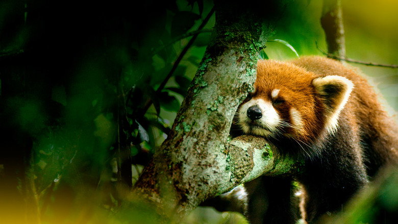 The Hidden Kingdoms of China still 2