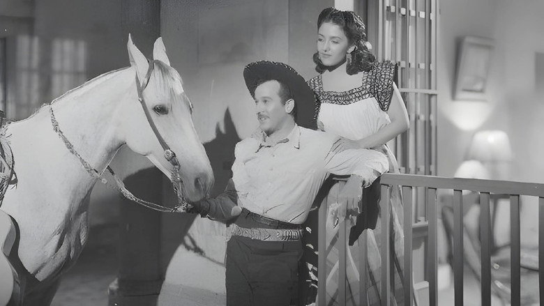 The Black Sheep still 2