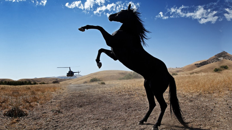 Wild Horses still 1