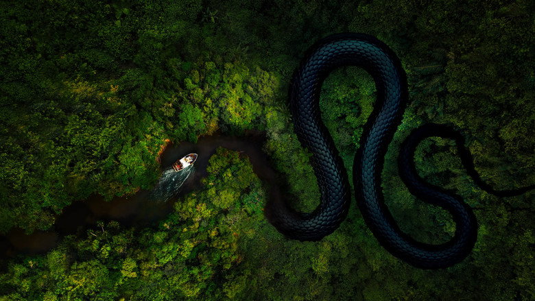 The Mosquito Coast still 6