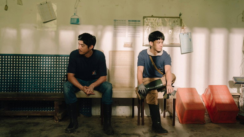 The Zoo still 2