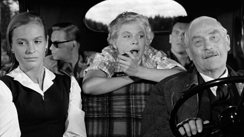 Wild Strawberries still 1