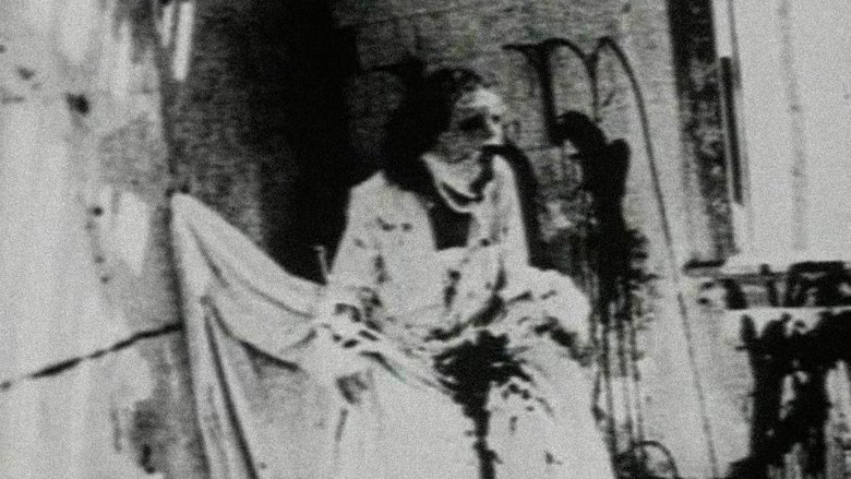 Begotten still 1