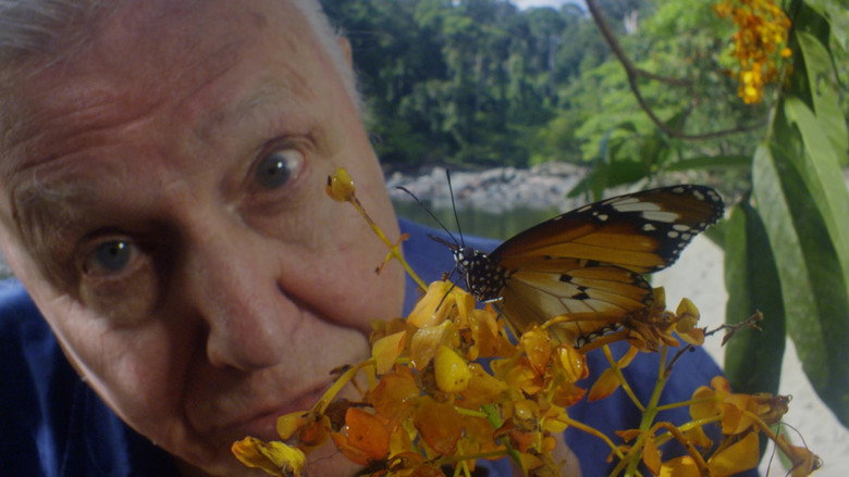 David Attenborough's Conquest of the Skies still 4