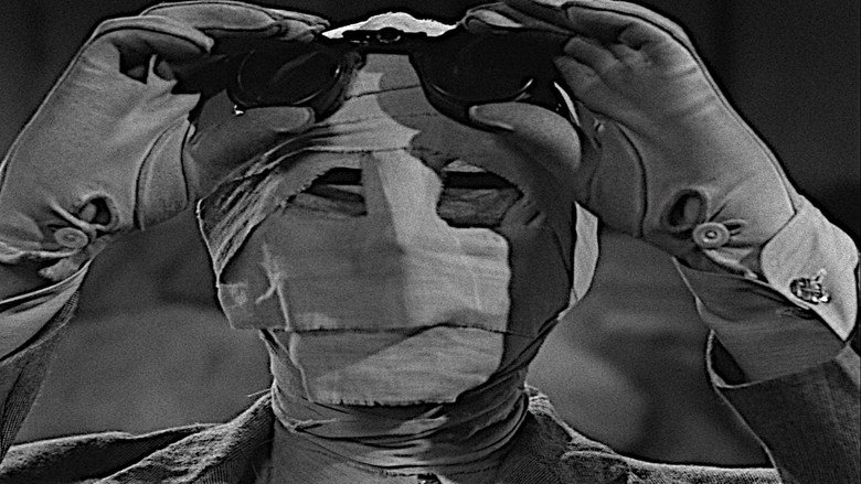 The Invisible Man's Revenge still 3