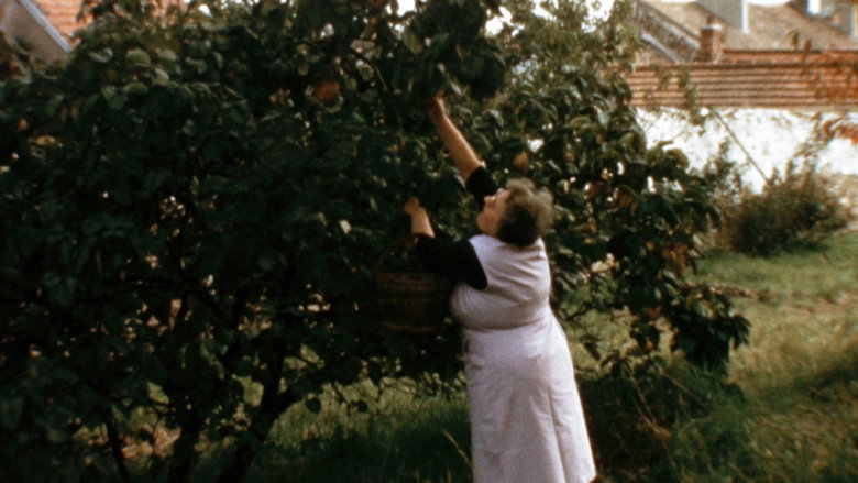Mémé still 1