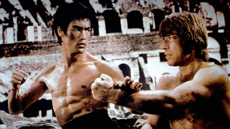 The Way of the Dragon still 6