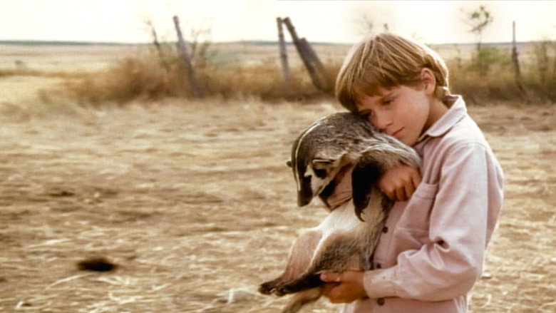 The Boy Who Talked to Badgers still 1