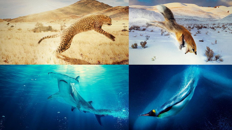 A Year on Planet Earth still 1