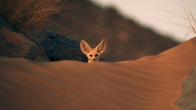 Super Cute Animals still 1