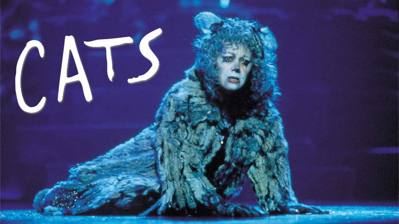 Cats still 6