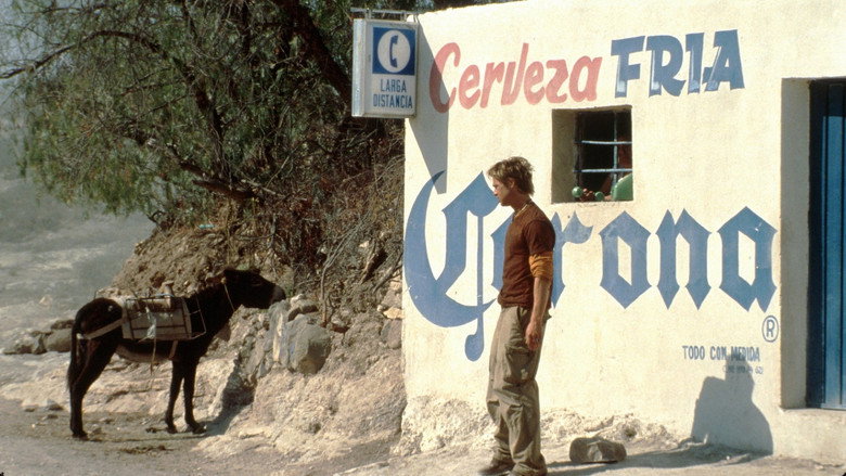 The Mexican still 7