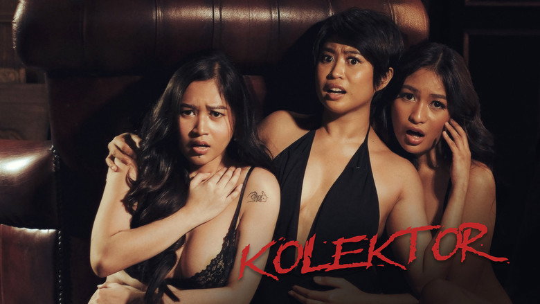Kolektor still 2
