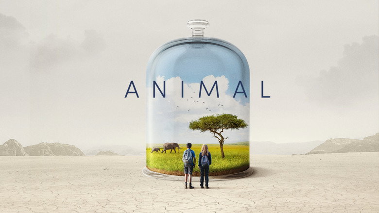 Animal still 3