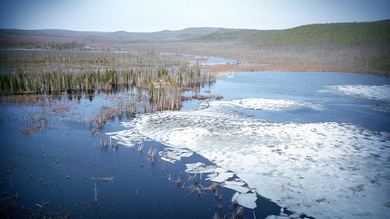 Big Bang in Tunguska still 2