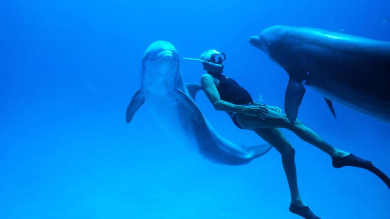 Dolphin Man still 6