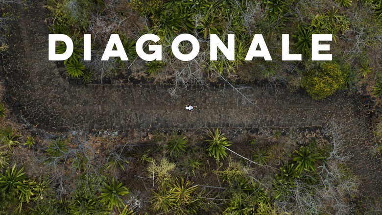 Diagonale still 2