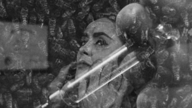 The Wasp Woman still 6