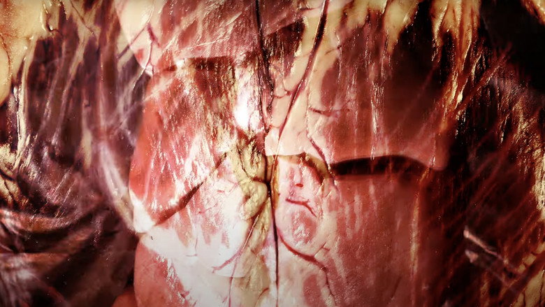 Visceral still 4
