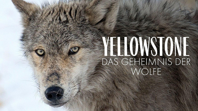 Yellowstone: The Mystery of the Wolves still 3