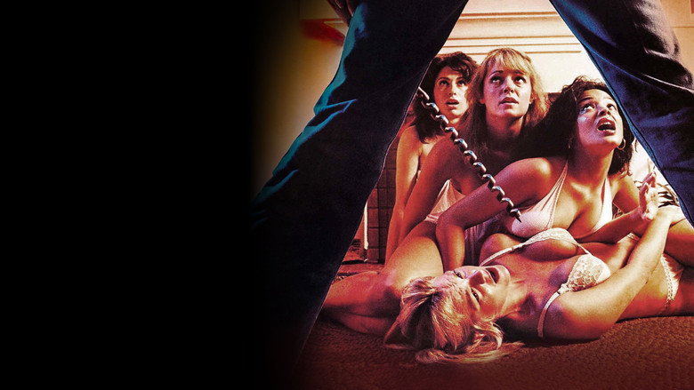 The Slumber Party Massacre still 3