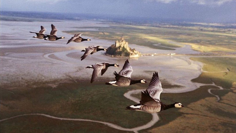 Winged Migration still 1