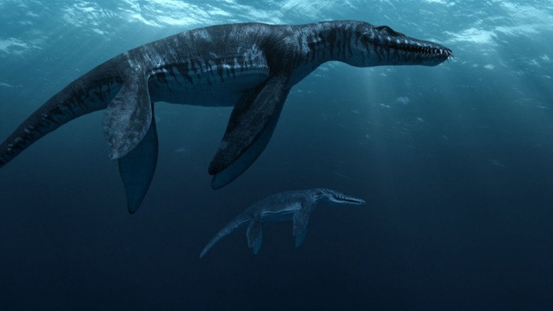 Sea Rex 3D: Journey to a Prehistoric World still 1