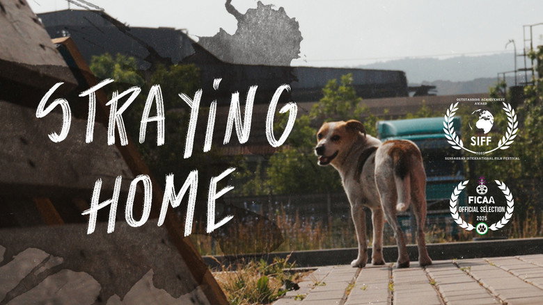 Straying home still 1