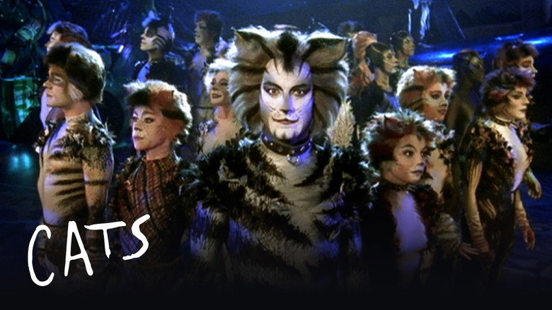 Cats still 7