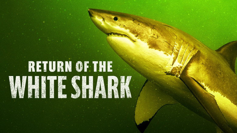 Return of the White Shark still 3